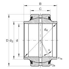 P(gun)(ji)S GE20-HO-2RS, (j) DIN ISO 12 240-1 (bio)(zhn), So(h)ɂ(c)ܷ