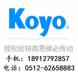 6204 KOYO(sh)(j)γߴD