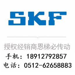 PCM758080E SKF(sh)(j)γߴD