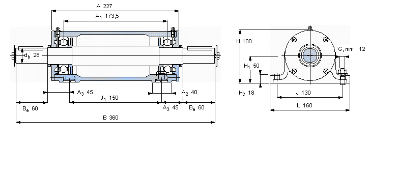 SKF pSІԪ, PDNBԪPDNB306ӱD